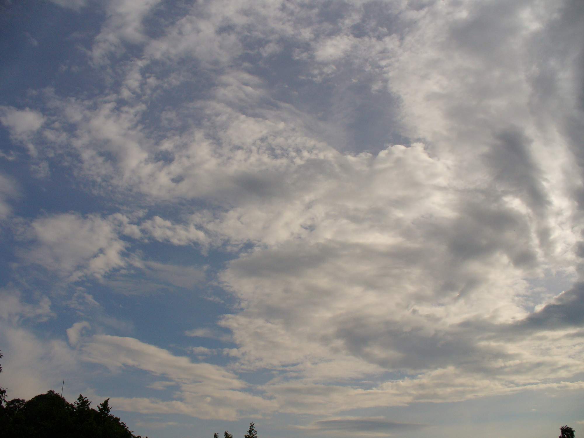P1010895.JPG