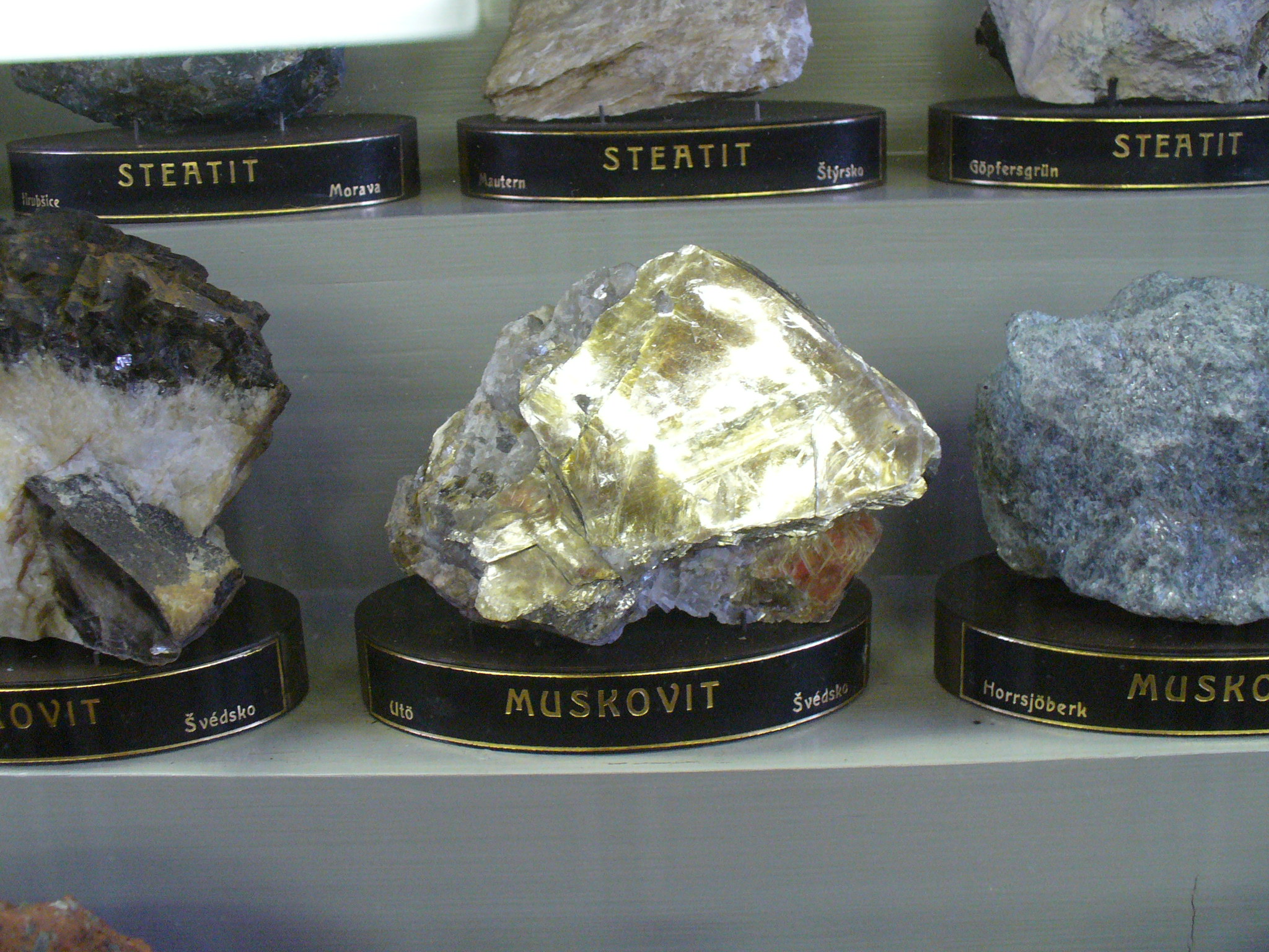 P1060833.JPG