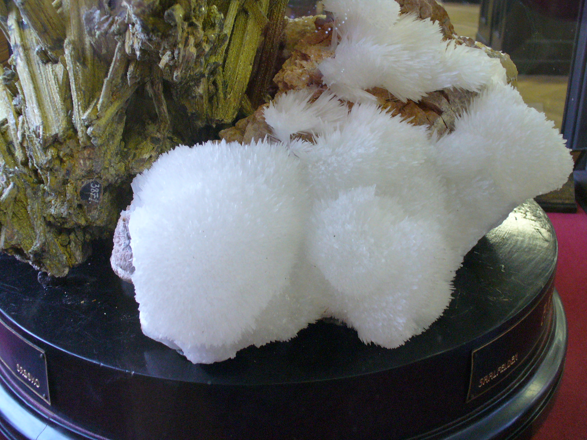 P1060818.JPG