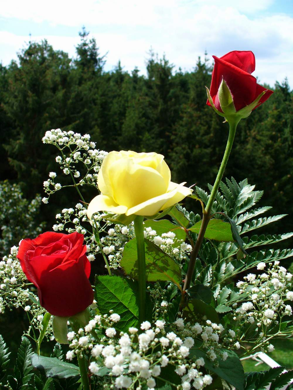 P1020385.JPG